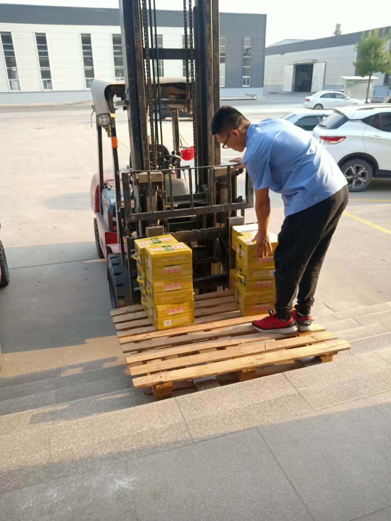 62dc98c8-866a-4779-99c1-7509e1c0f3c4